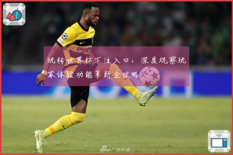 玩转世界杯下注入口，深度观察玩家体验功能革新全攻略