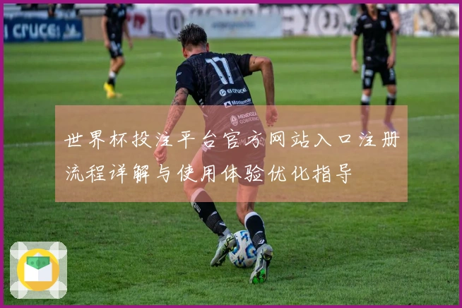 世界杯投注平台官方网站入口注册流程详解与使用体验优化指导