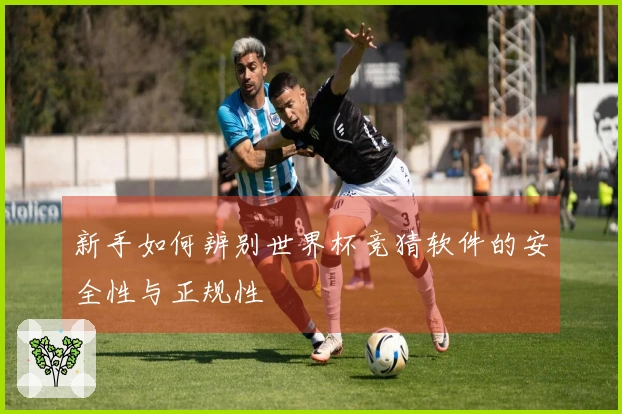 新手如何辨别世界杯竞猜软件的安全性与正规性