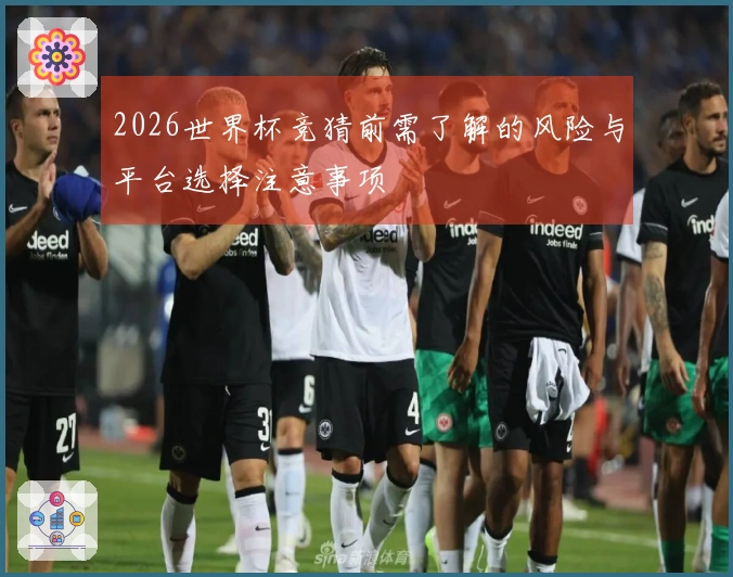 2026世界杯竞猜前需了解的风险与平台选择注意事项