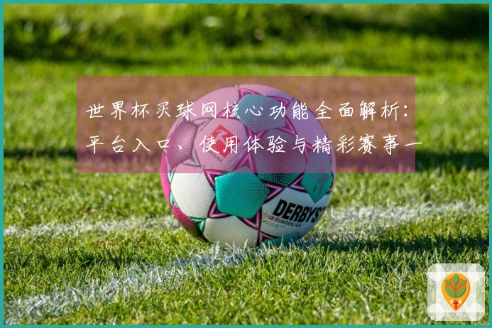 世界杯买球网核心功能全面解析：平台入口、使用体验与精彩赛事一手掌握