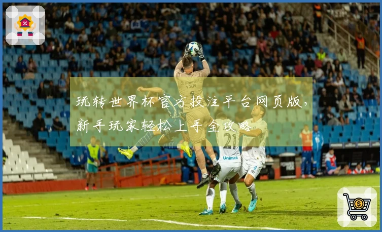 玩转世界杯官方投注平台网页版，新手玩家轻松上手全攻略