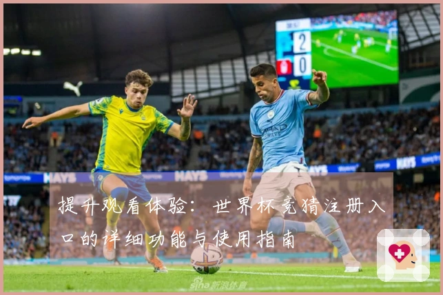 提升观看体验：世界杯竞猜注册入口的详细功能与使用指南