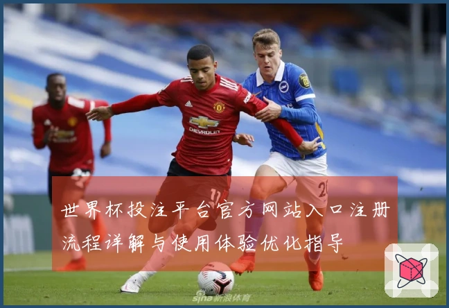 世界杯投注平台官方网站入口注册流程详解与使用体验优化指导